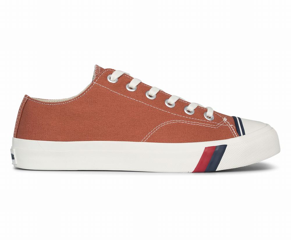 Women's Keds Royal Lo Seasonal Low Top Sneakers Brown/Red 4816975WN - South Africa